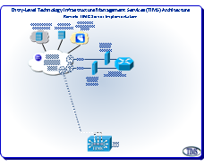 Entry-Level TIMS Implementation